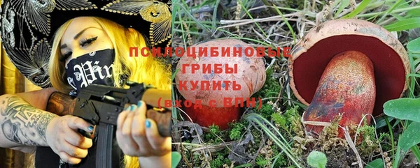 jwh Медвежьегорск